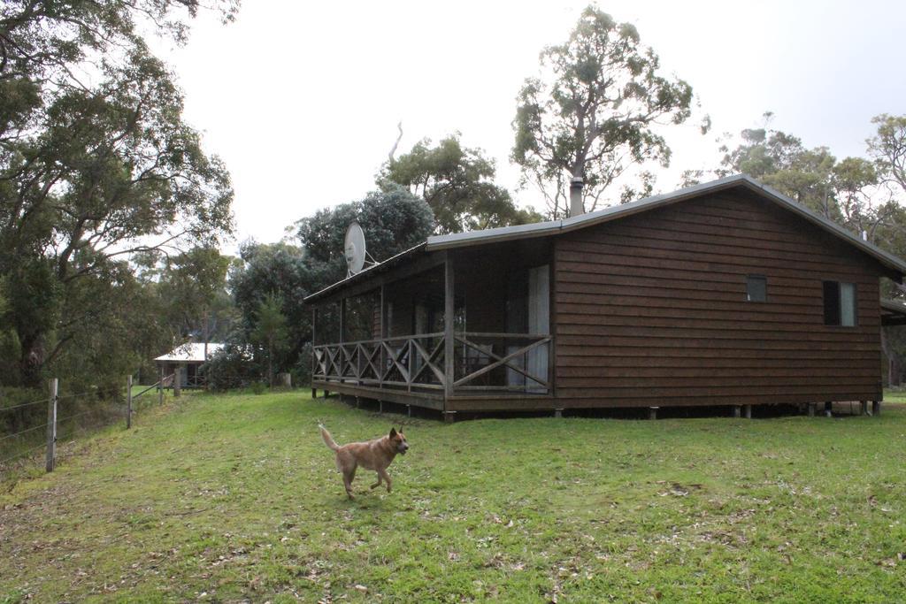 Che Sara Sara Chalets Walpole Pokoj fotografie
